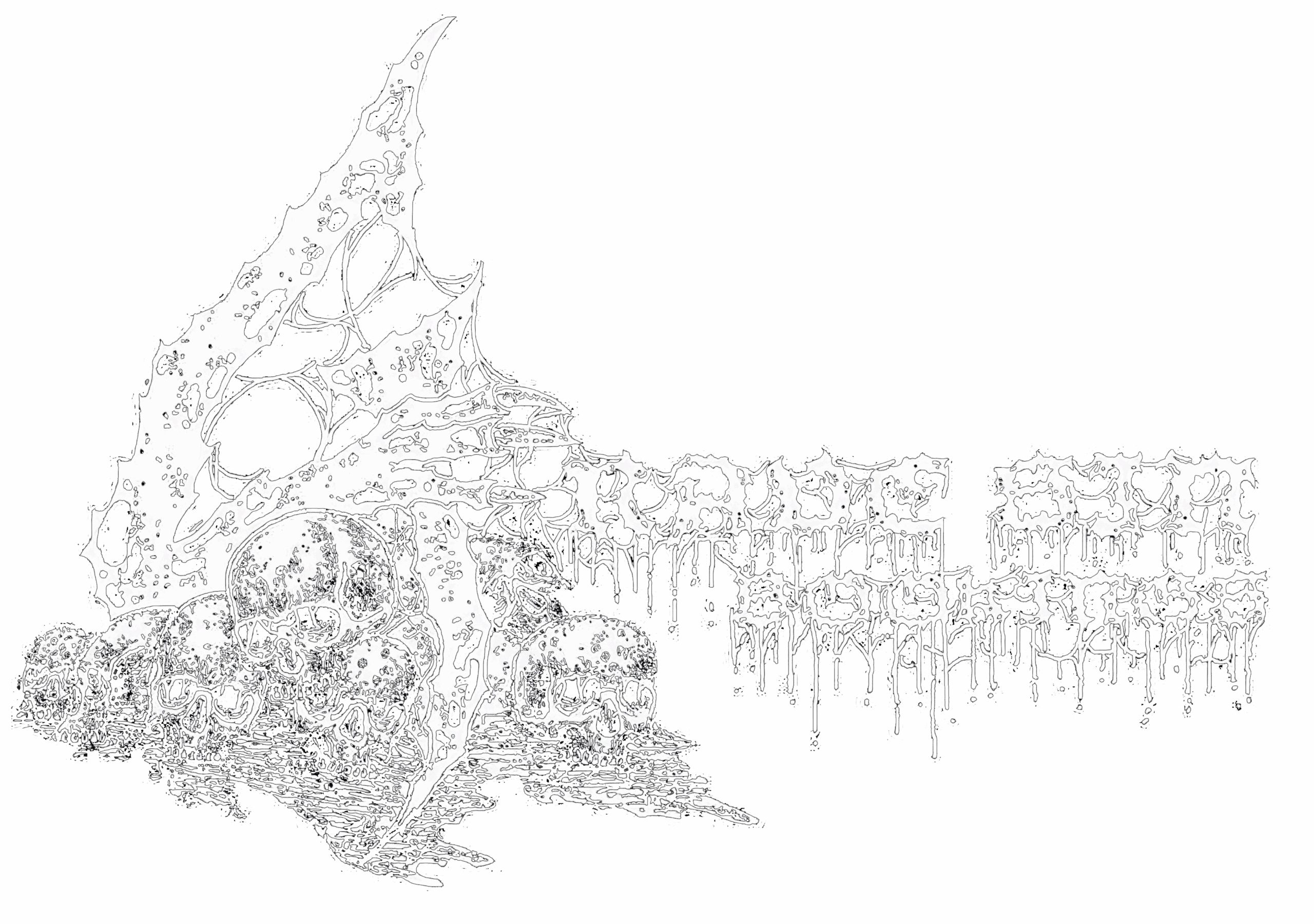 Grave Sin Bookings